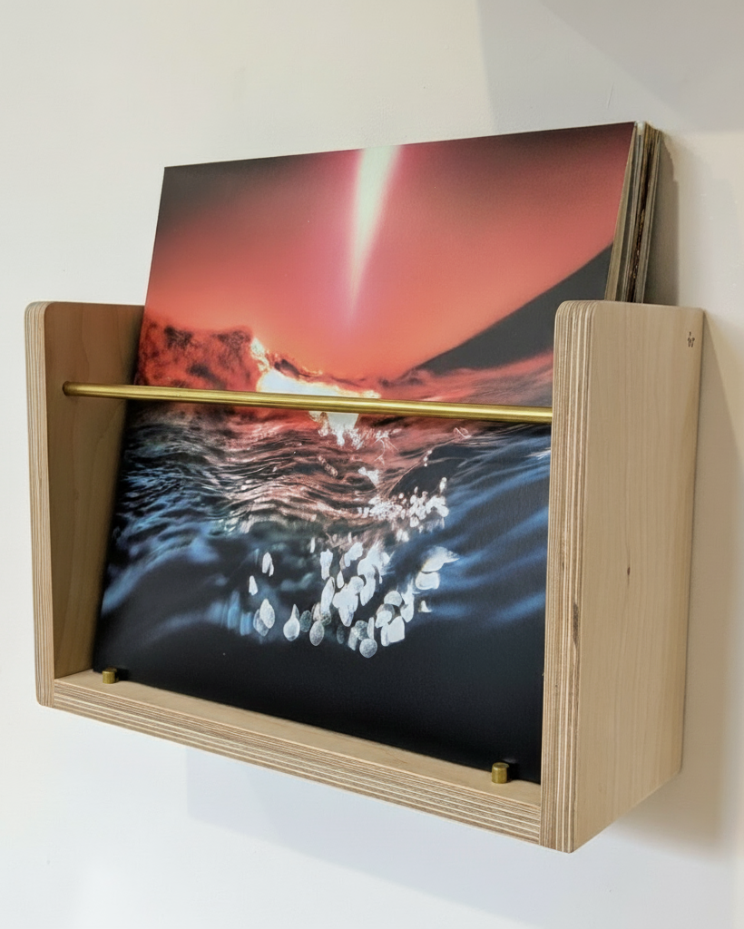The Compound Vinyl LP Shelf - Birch Ply Edition