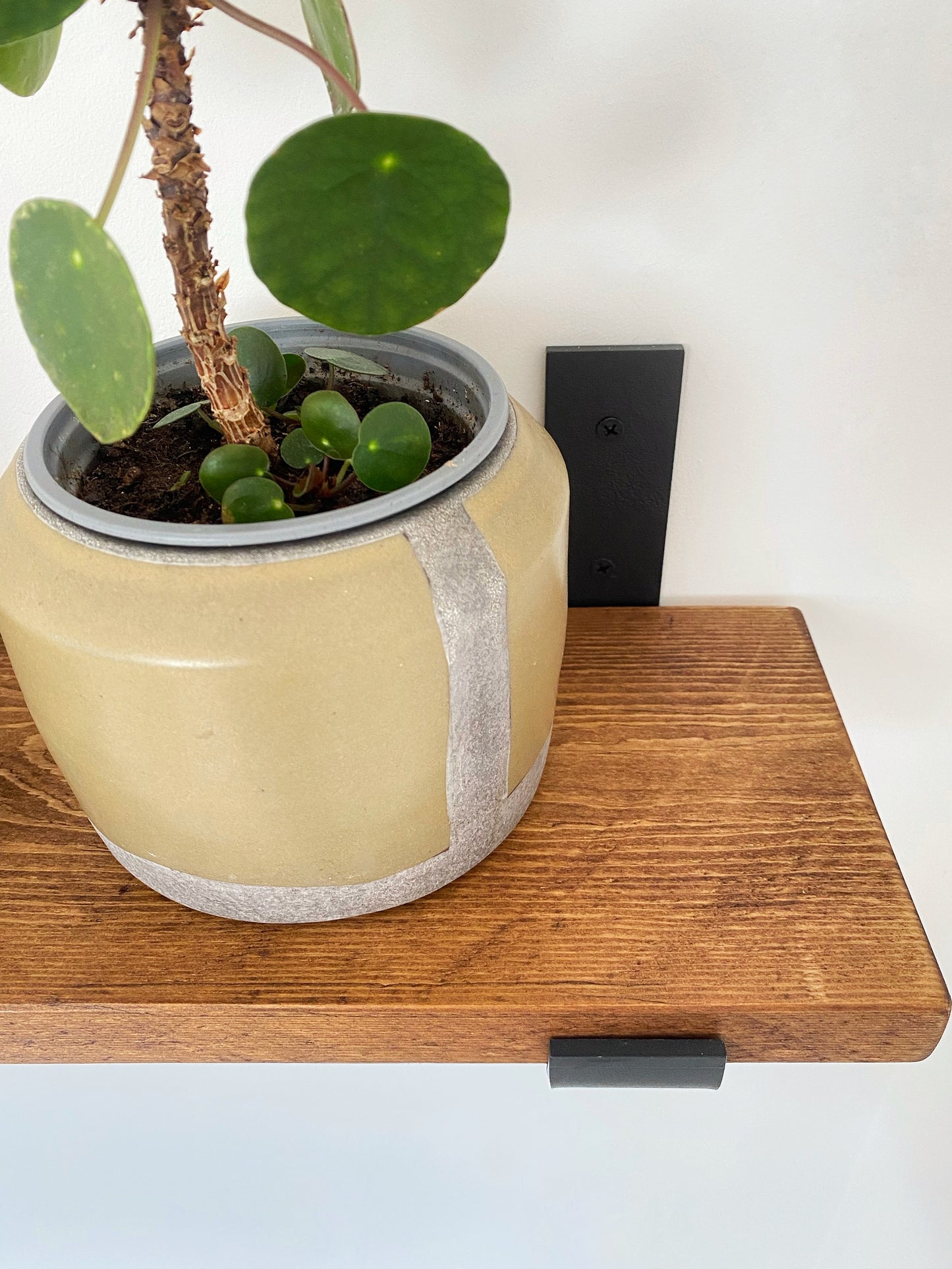 The Bracket shelf  - WALNUT