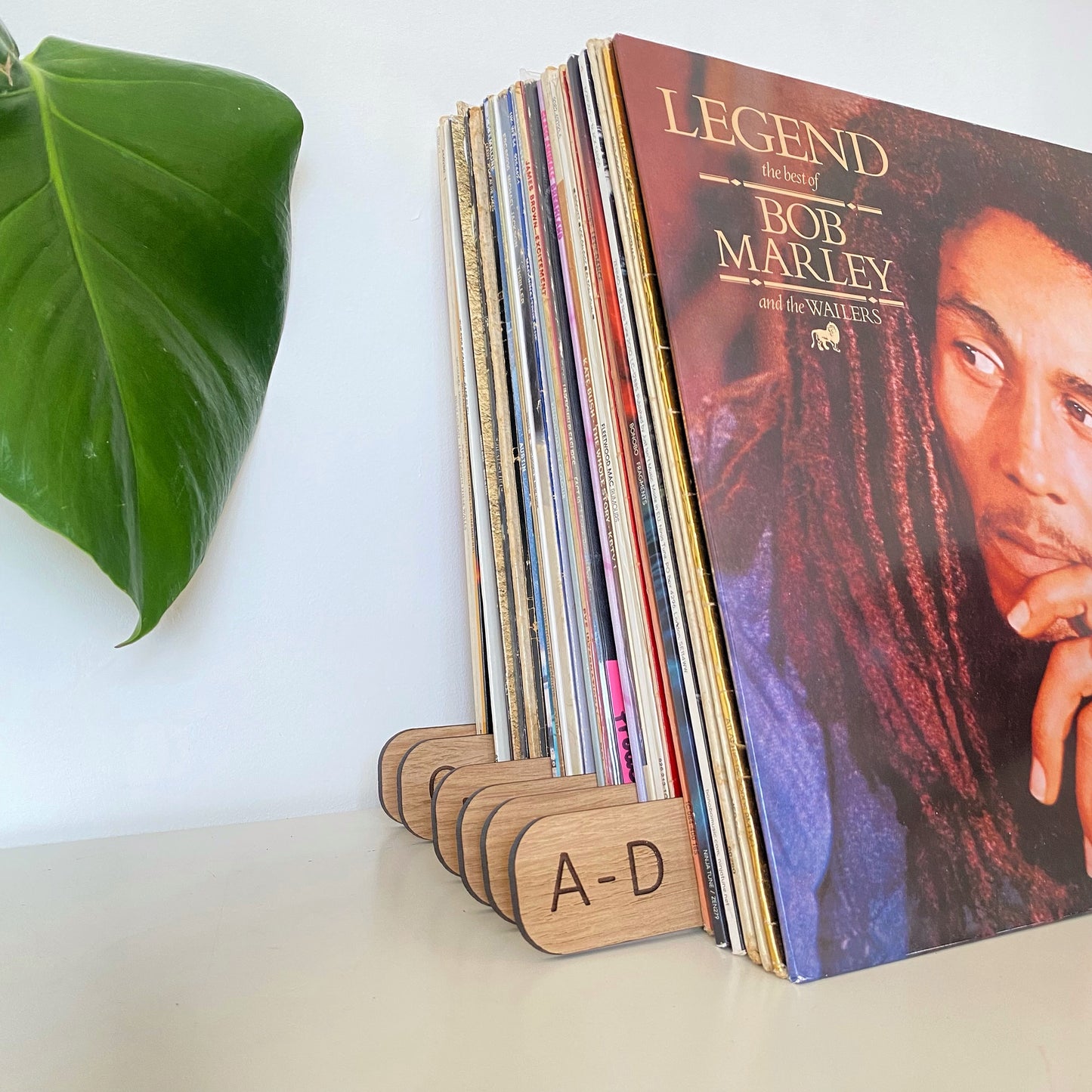 Vinyl Record Dividers