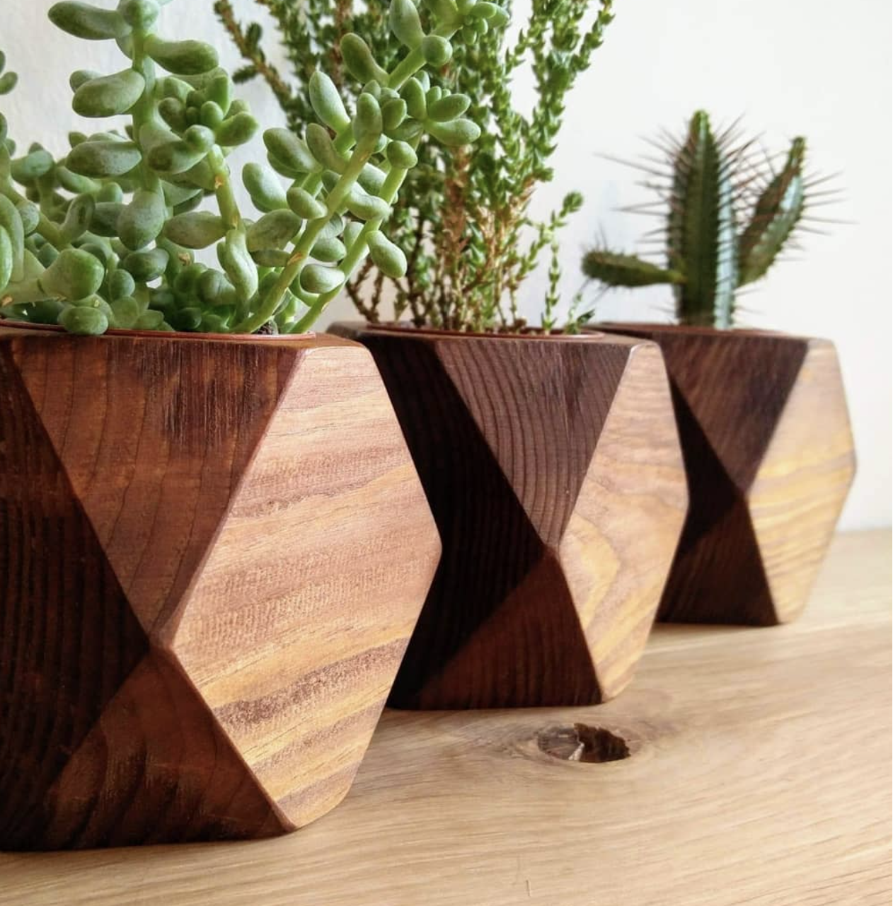 Geo Planter