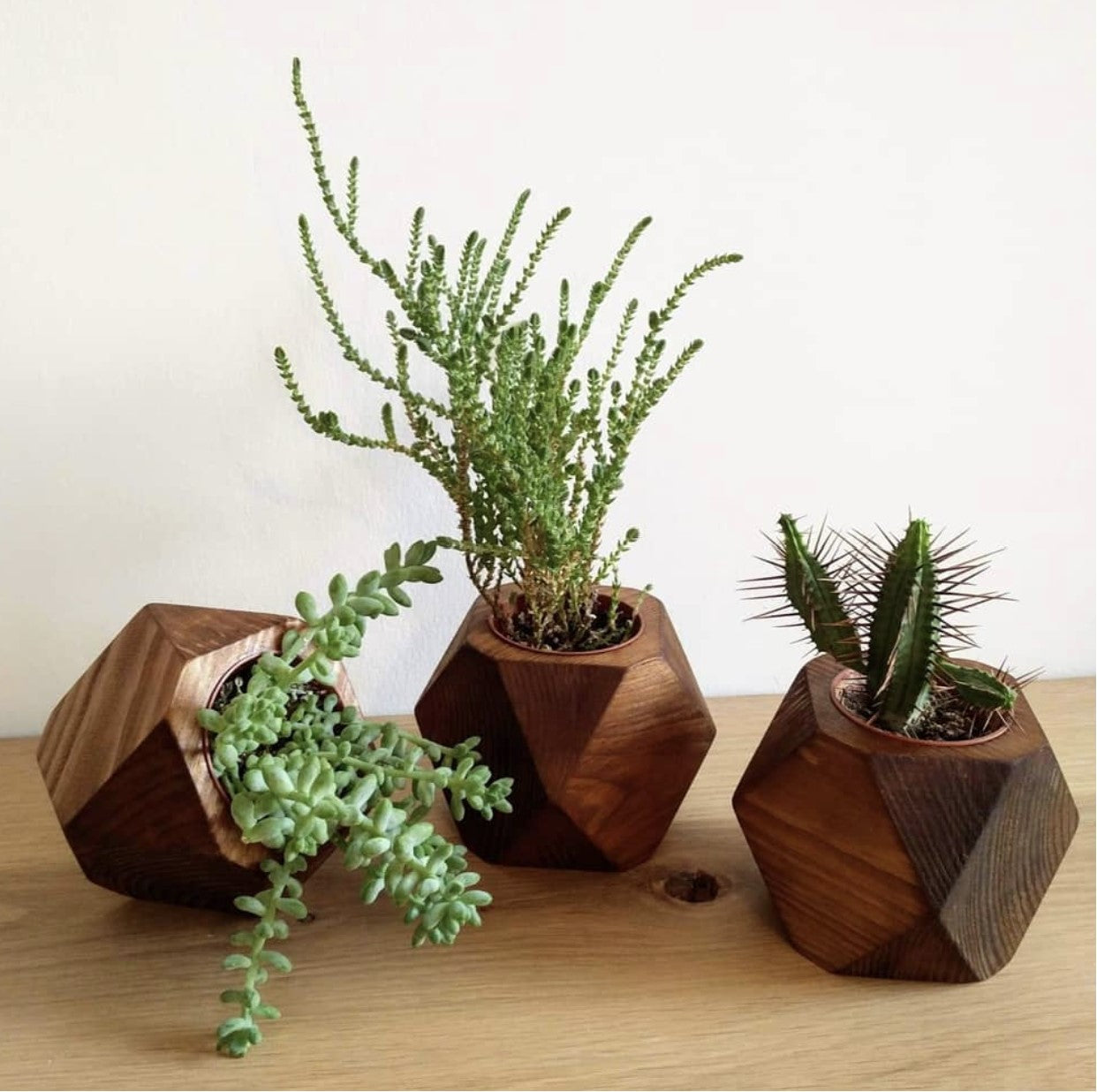 geo plant pot Geo Planter – Compound Woodwork